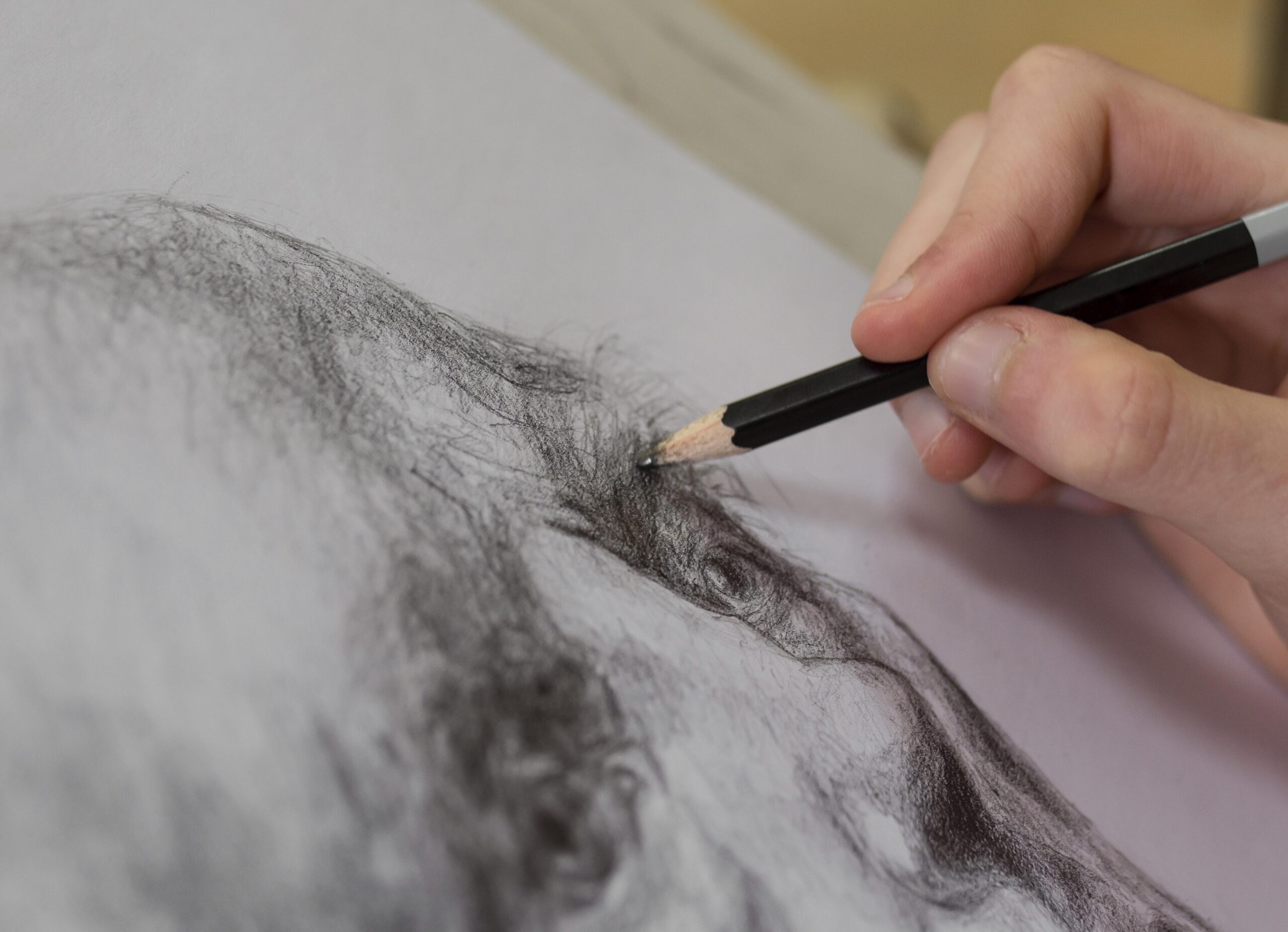 *FULL COURSE* Adult Drawing Fundamentals | PAINT:LAB